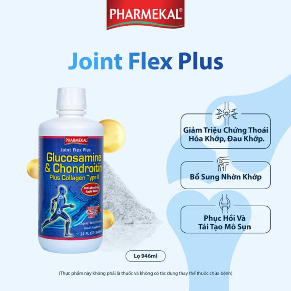JOINT FLEX PLUS GLUCOSAMINE - HỖ TRỢ KHỚP LINH HOẠT, GIẢM THOÁI HÓA